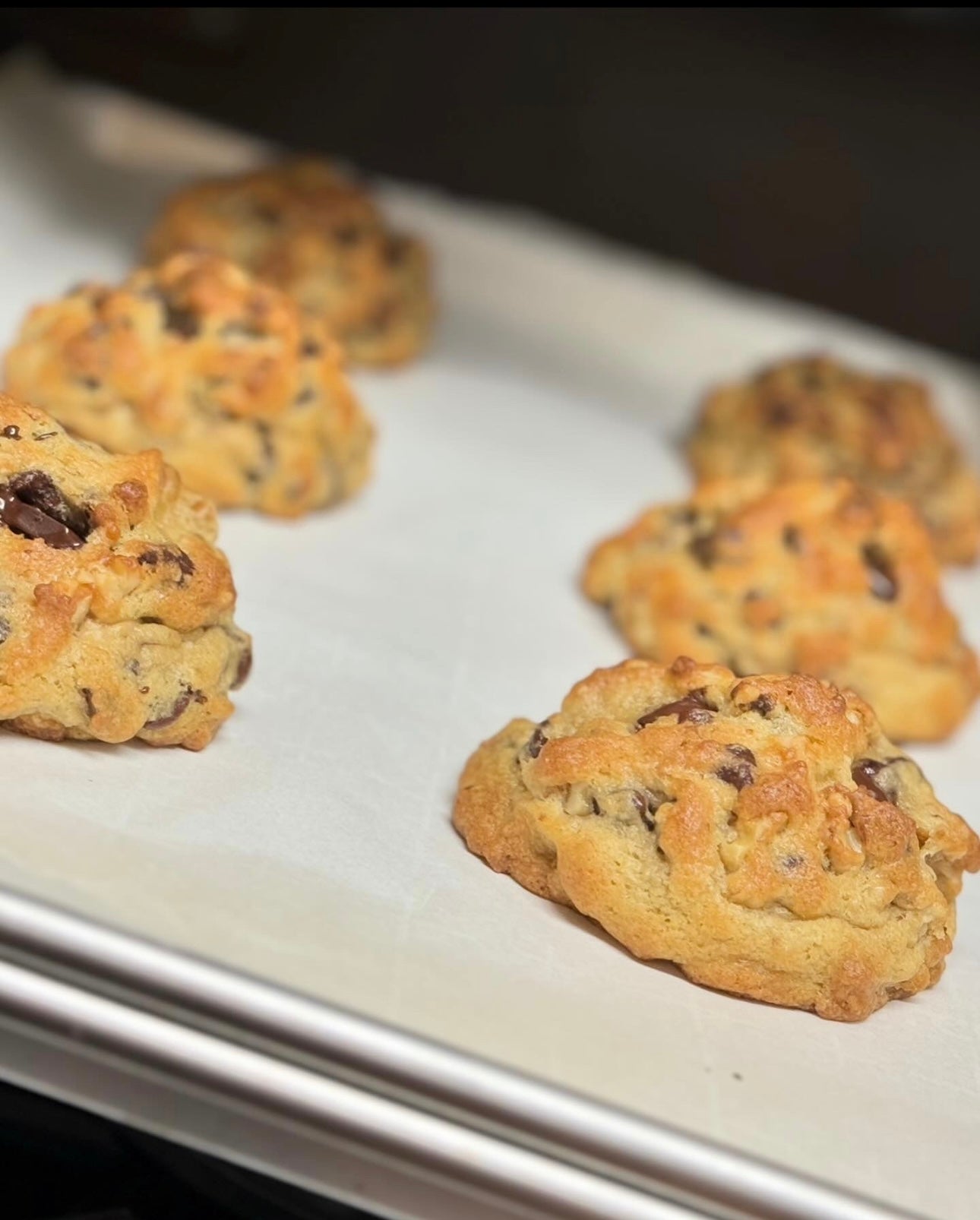 Walnut Chocolate Chip